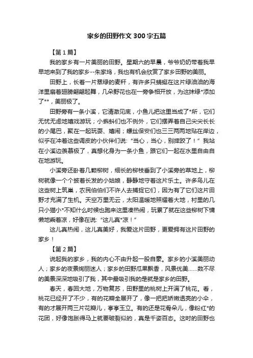 家乡的田野作文300字五篇