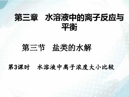 水溶液中的离子反应与平衡第三节盐类水解离子浓度大小比较课件