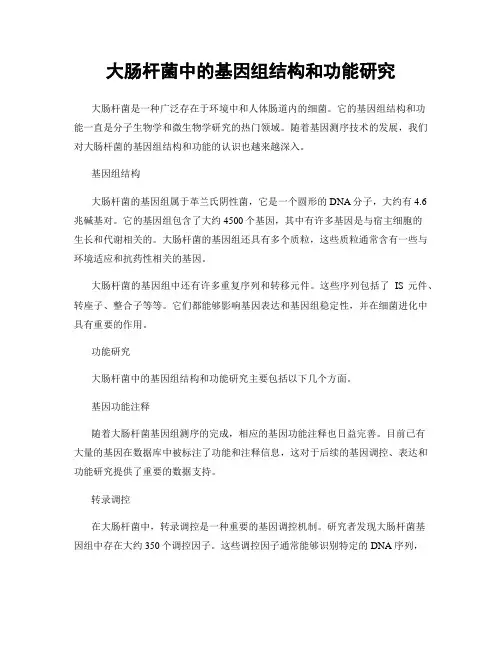 大肠杆菌中的基因组结构和功能研究