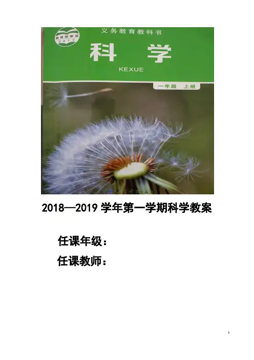 教科版一年级上册科学全册教案