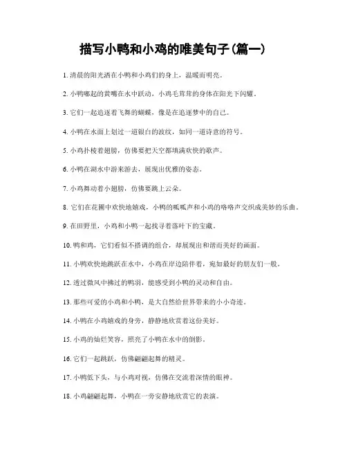 描写小鸭和小鸡的唯美句子(精选合集2篇)