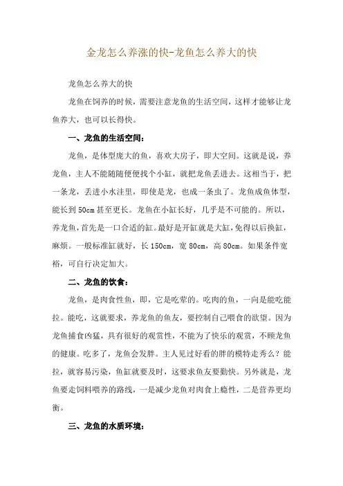 金龙怎么养涨的快-龙鱼怎么养大的快