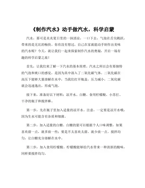《制作汽水》动手做汽水,科学启蒙