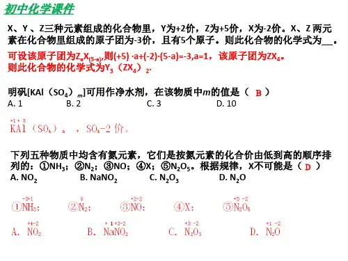初中化学化合价与化学式专题复习