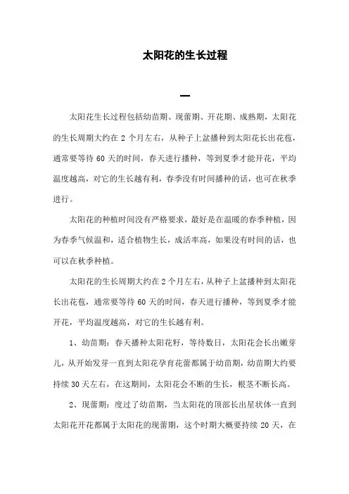 太阳花的生长过程