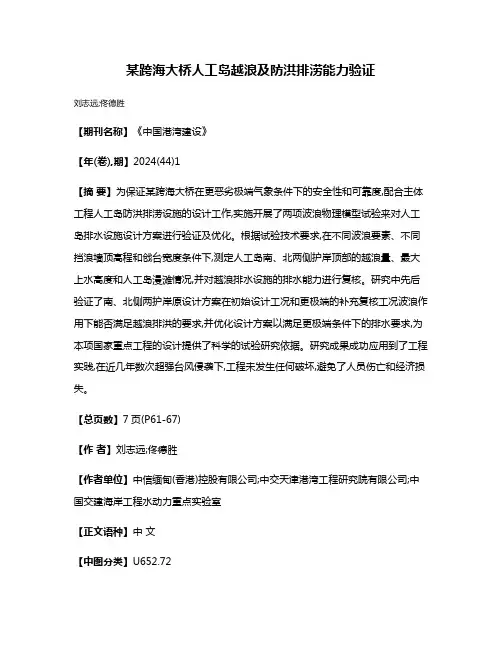 某跨海大桥人工岛越浪及防洪排涝能力验证
