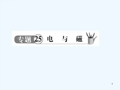 中考物理专题电和磁复习课件