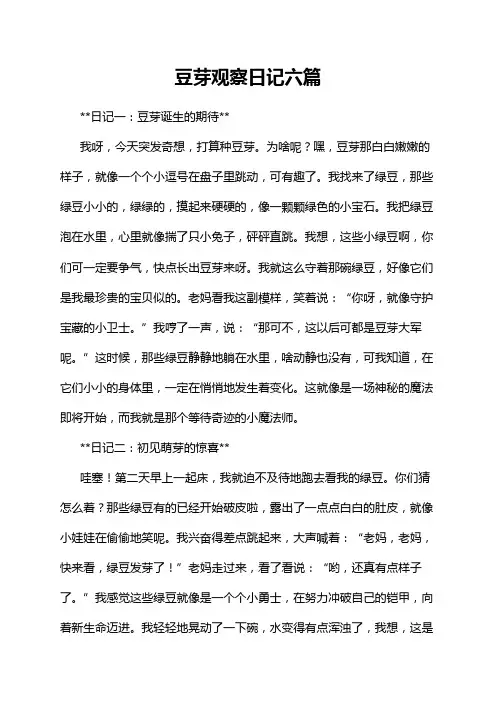 豆芽观察日记六篇