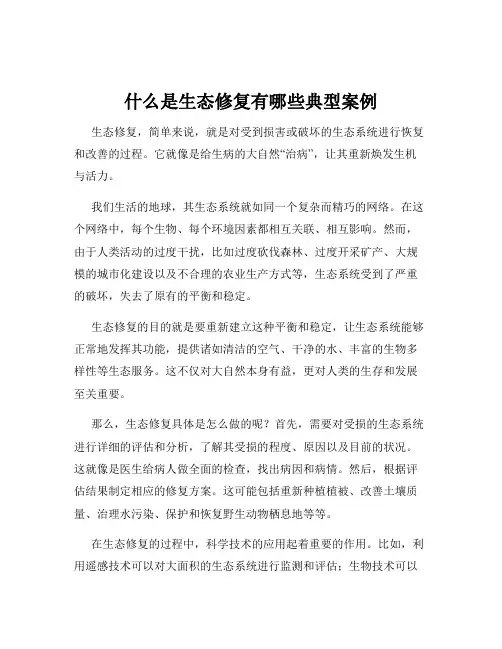 什么是生态修复有哪些典型案例