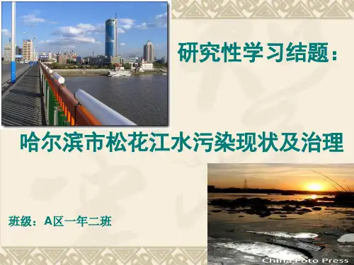 哈尔滨市松花江水污染现状及治理