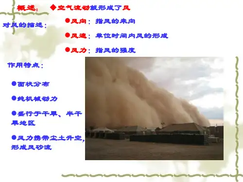 地球科学概论-第十六章风的地质作用课件