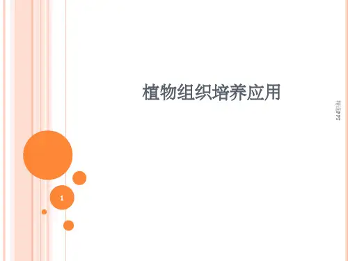 《组培应用》PPT课件
