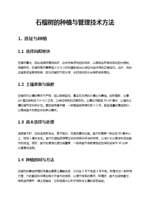 石榴树的种植与管理技术方法