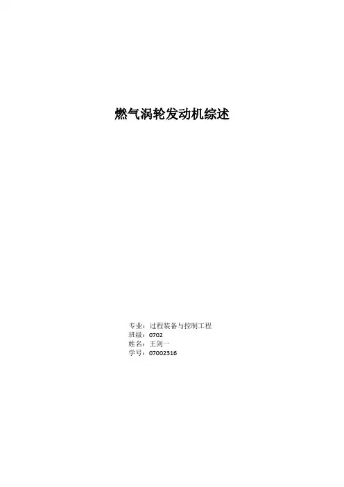 中文综述