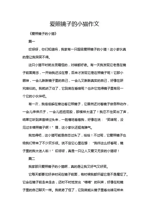 爱照镜子的小猫作文
