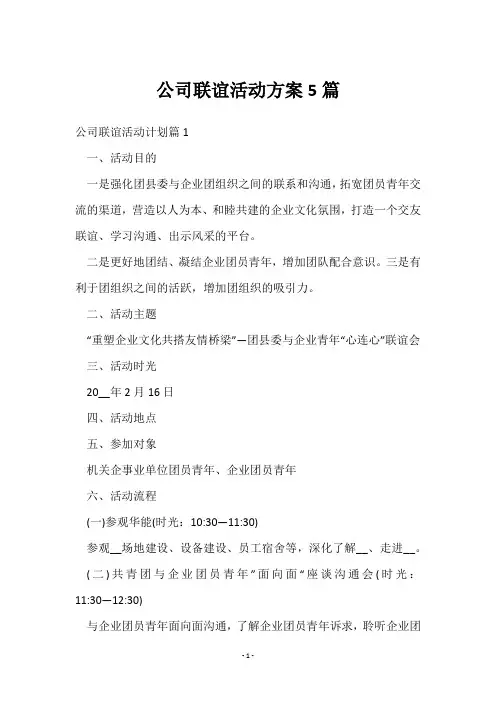 公司联谊活动方案5篇