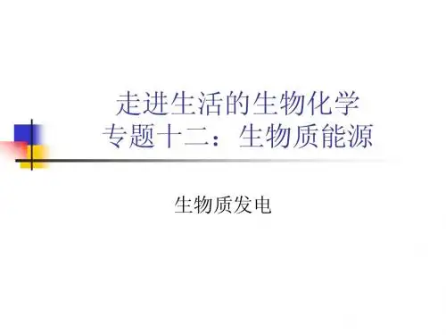 Z12-2-4生物质能源-生物质发电