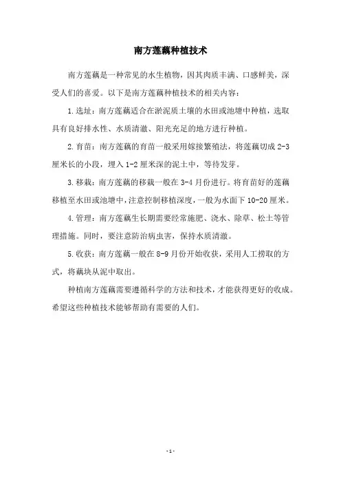 南方莲藕种植技术