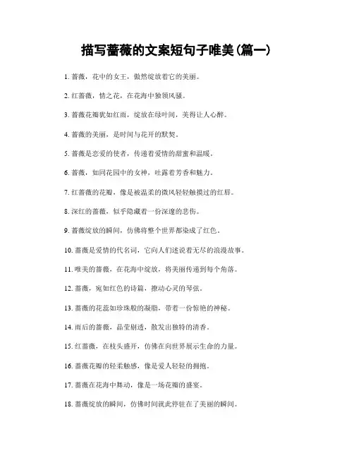 描写蔷薇的文案短句子唯美(精选2篇)
