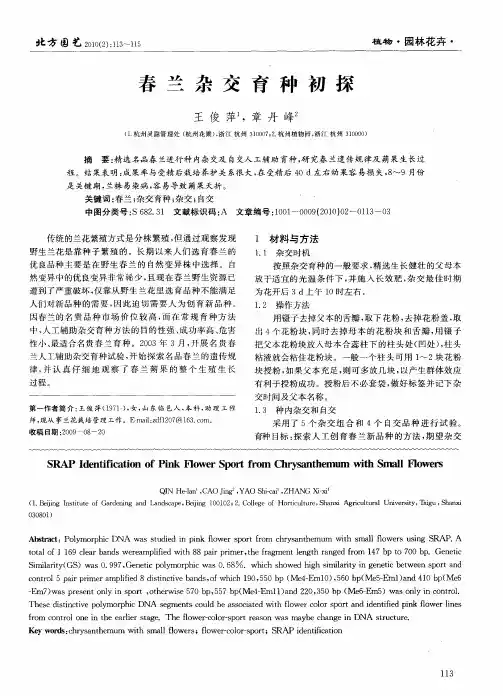 春兰杂交育种初探