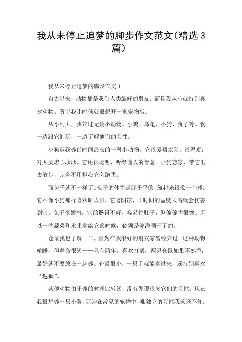 我从未停止追梦的脚步作文范文(精选3篇)
