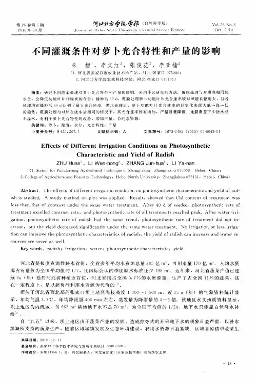 不同灌溉条件对萝卜光合特性和产量的影响