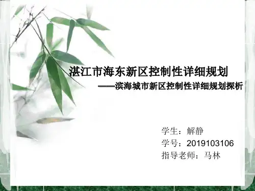 湛江市海东新区控制性详细规划