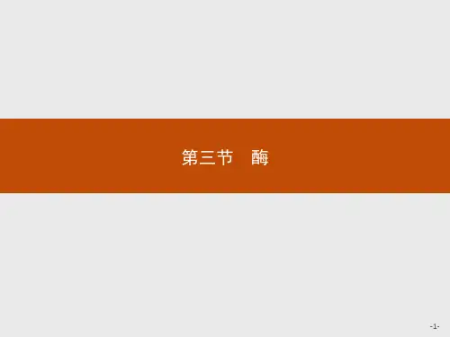 2019-2020学年浙科版高中生物 必修1 第三章 第三节 酶 课件(45张)