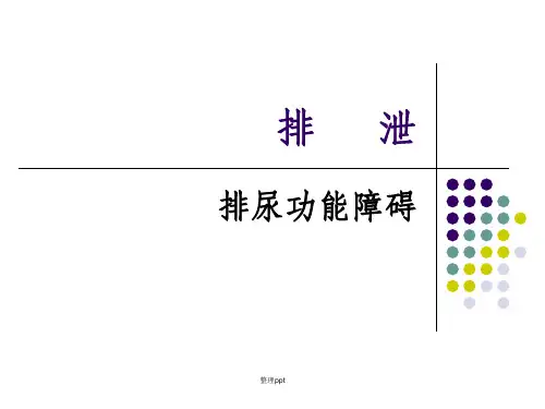《排尿功能障碍护》