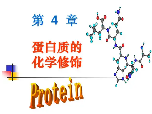 8蛋白质的化学修饰