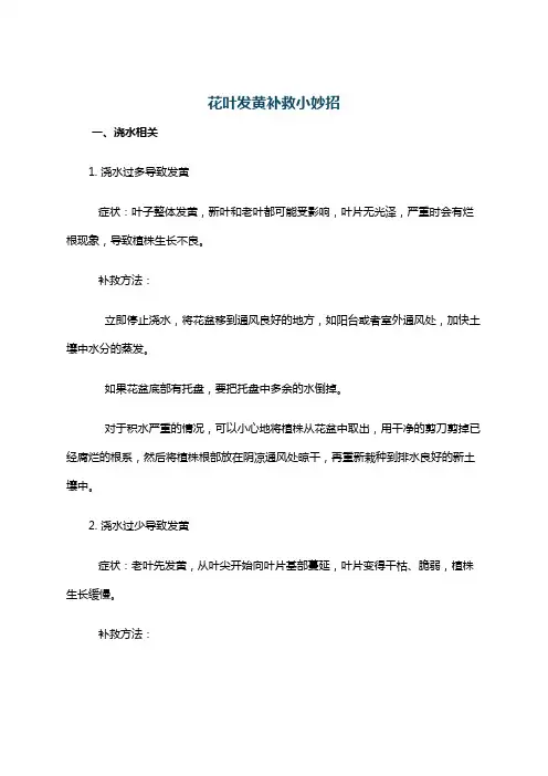 花叶发黄补救小妙招