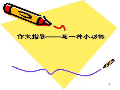 写一种小动物ppt课件