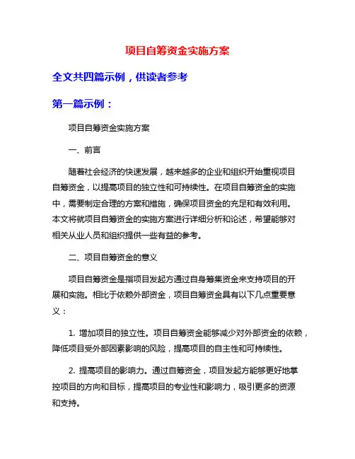 项目自筹资金实施方案
