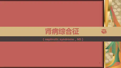 护理教育小讲课肾病综合征精选幻灯片