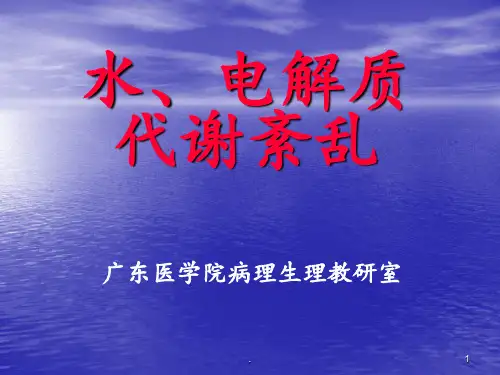 水电紊乱(4)PPT课件