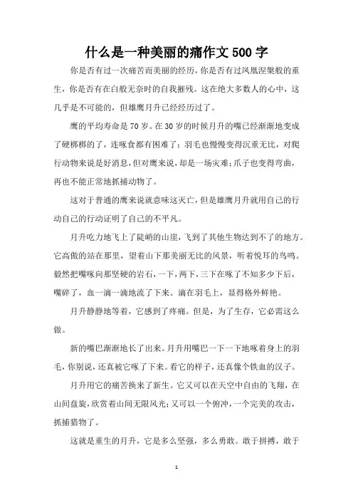 什么是一种美丽的痛作文500字(精编版)
