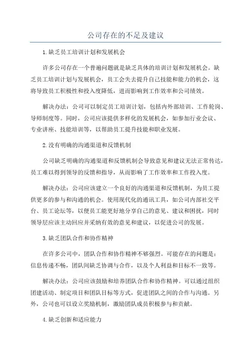 公司存在的不足及建议