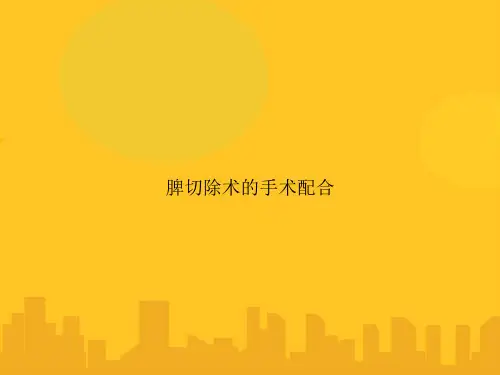 脾切除术的手术配合PPT优秀版