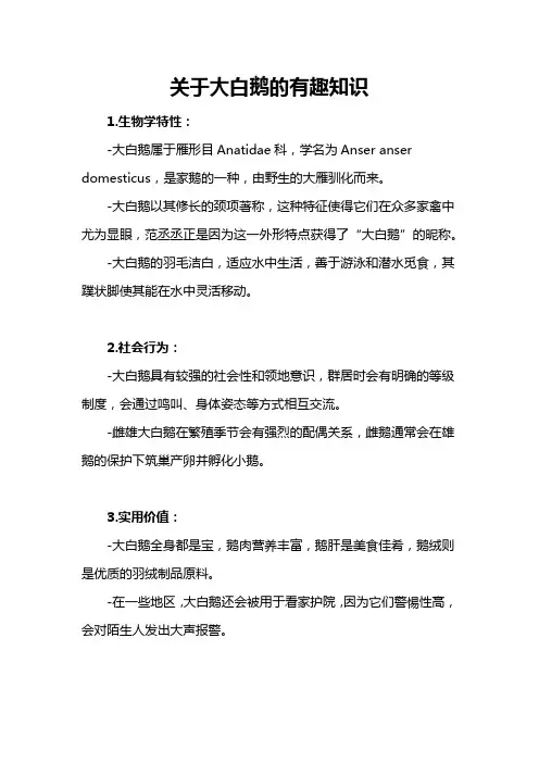 关于大白鹅的有趣知识