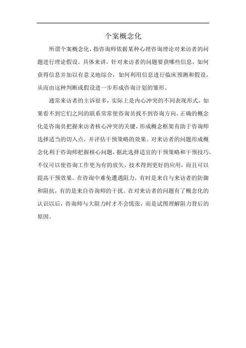 个案概念化
