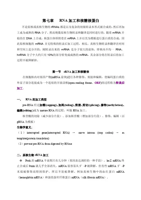 分子生物学》第七章+RNA加工和核糖核蛋白