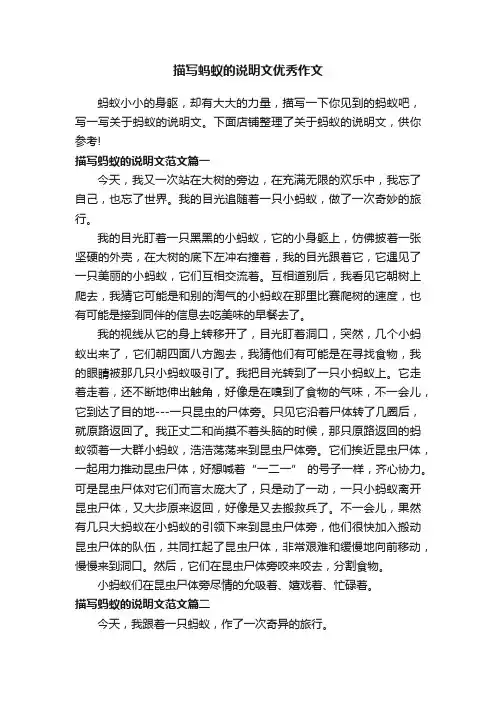 描写蚂蚁的说明文优秀作文