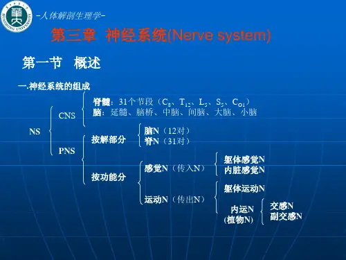 人体解剖生理学   第三章：神经系统电生理