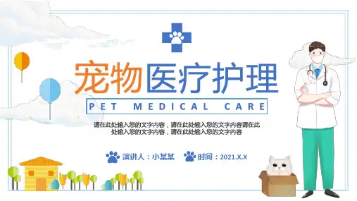宠物医疗护理PPT