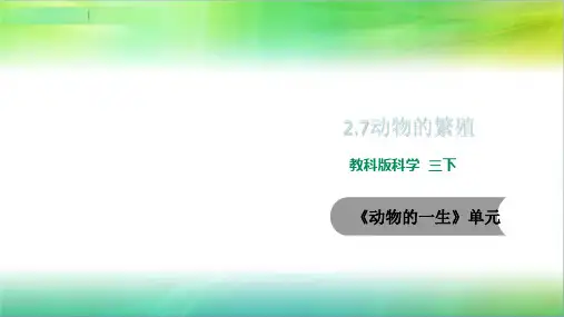 教科版小学科学新版本三年级下册科学2.7动物的繁殖