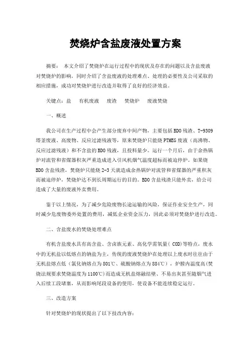 焚烧炉含盐废液处置方案