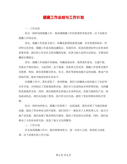 援藏工作总结与工作计划