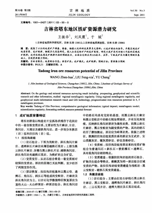 吉林省塔东地区铁矿资源潜力研究