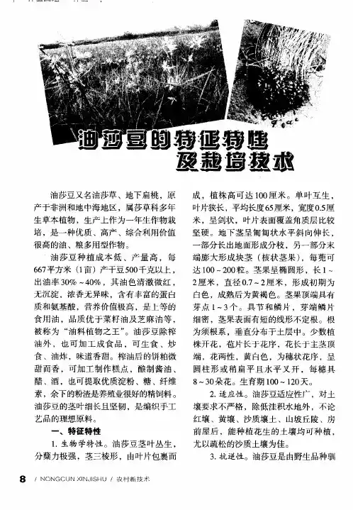 油莎豆的特征特性及栽培技术