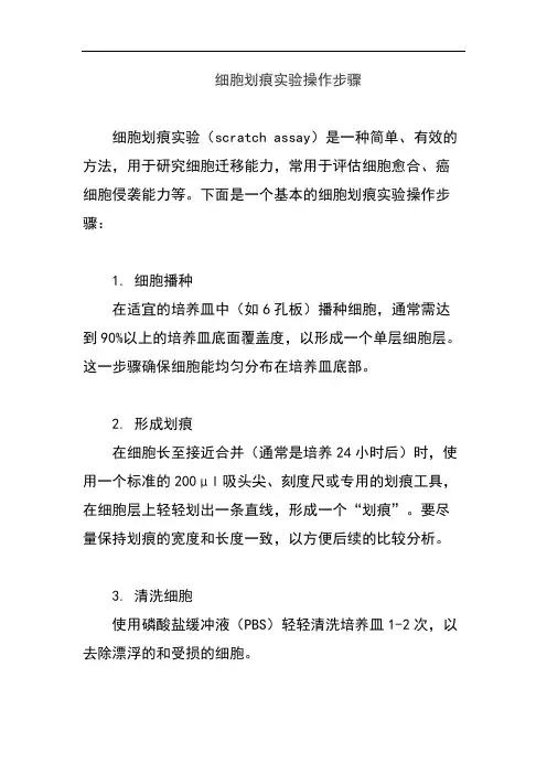 细胞划痕实验操作步骤